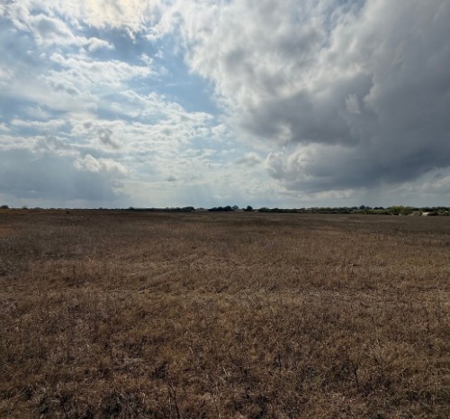 Runge, Texas, 78151, United States, 3 Bedrooms Bedrooms, ,2 BathroomsBathrooms,Residential,For Sale,1996621