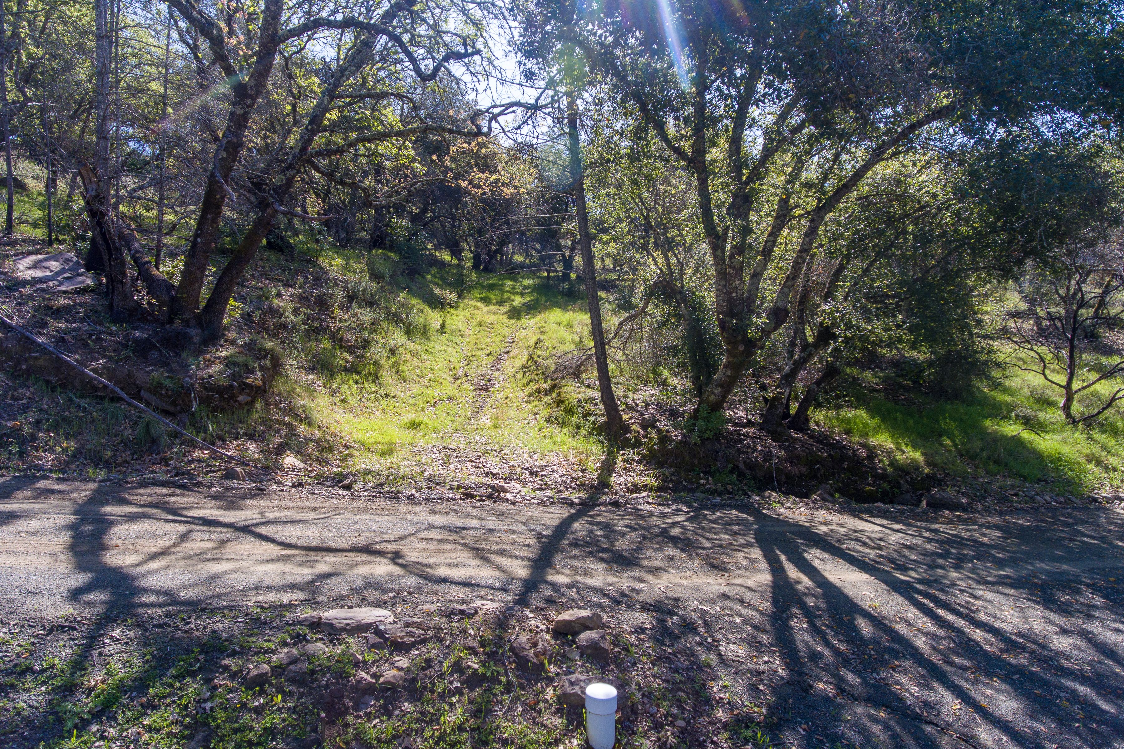  7935 St Helena Road - 物件實景