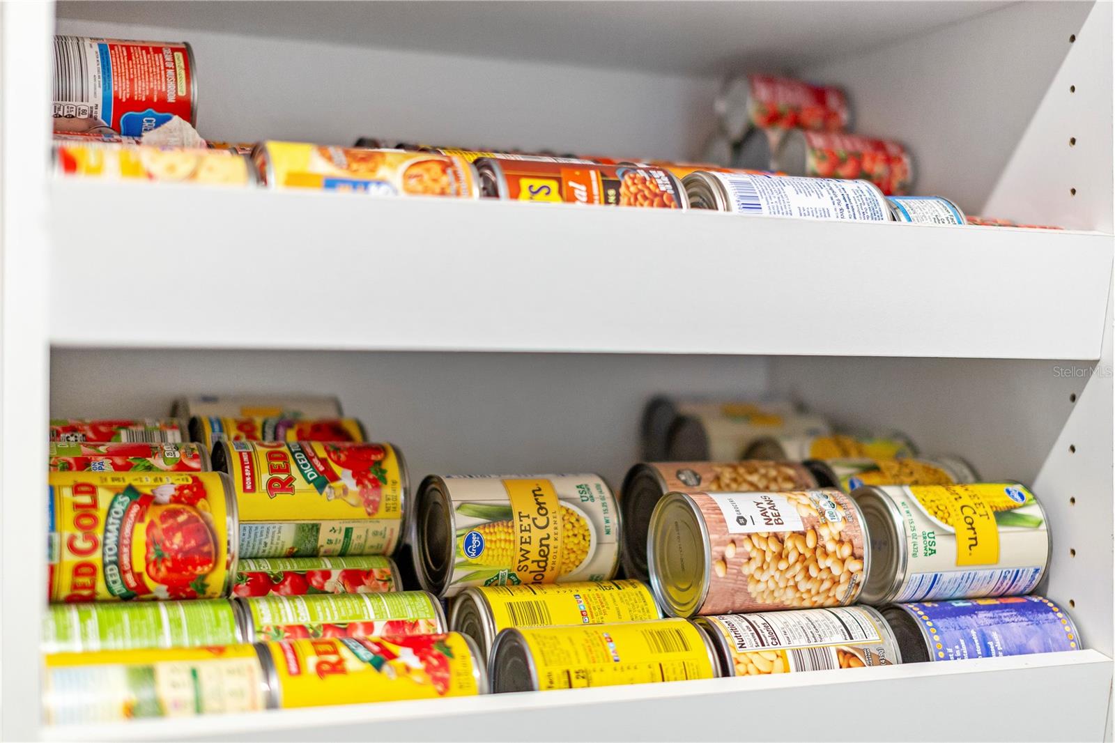 MOUNT DORA, Florida, 32757, United States, 4 Bedrooms Bedrooms, ,4 BathroomsBathrooms,Residential,For Sale,1978918