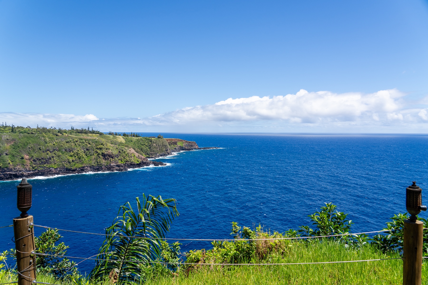 Oceanfront private retreat, gardens, pool, spas, guest houses - 物件實景
