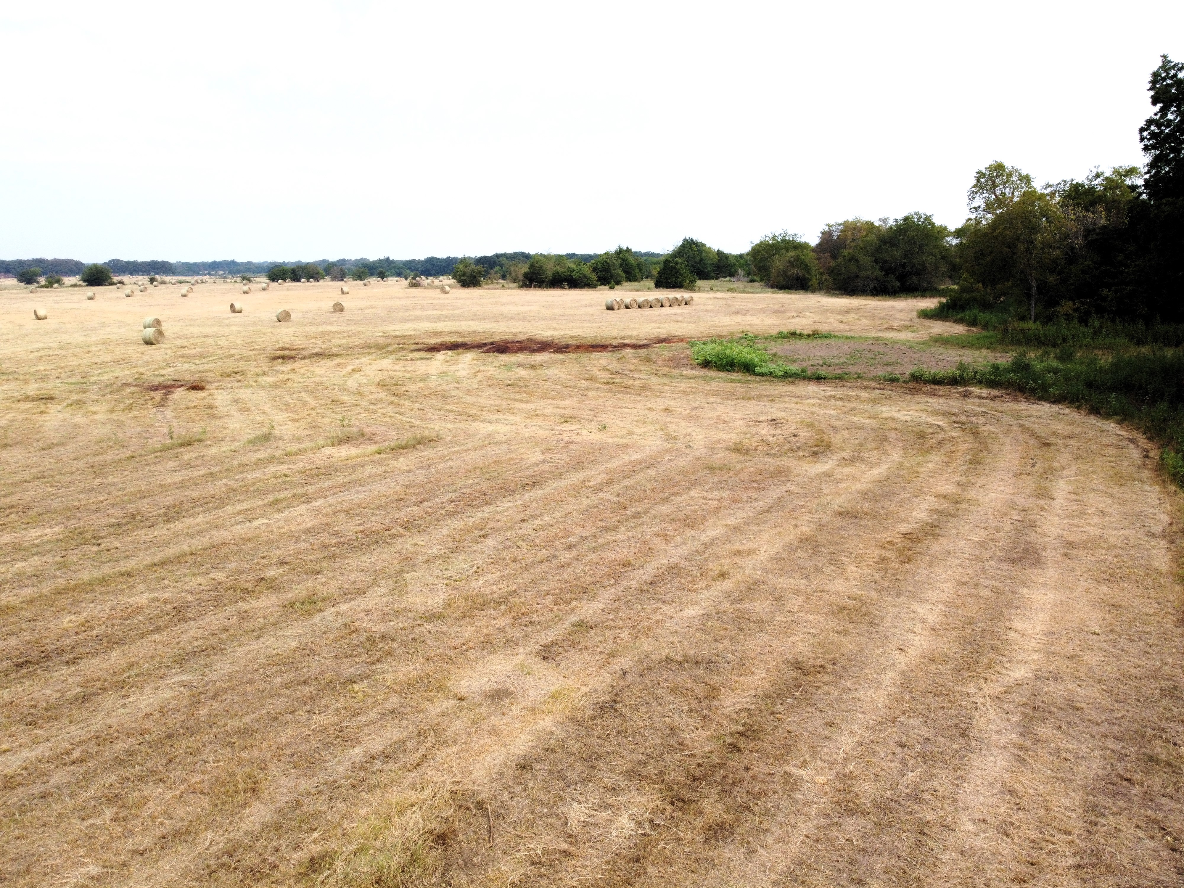 Cumby, Texas, 75433, United States, ,Land,For Sale,1987346