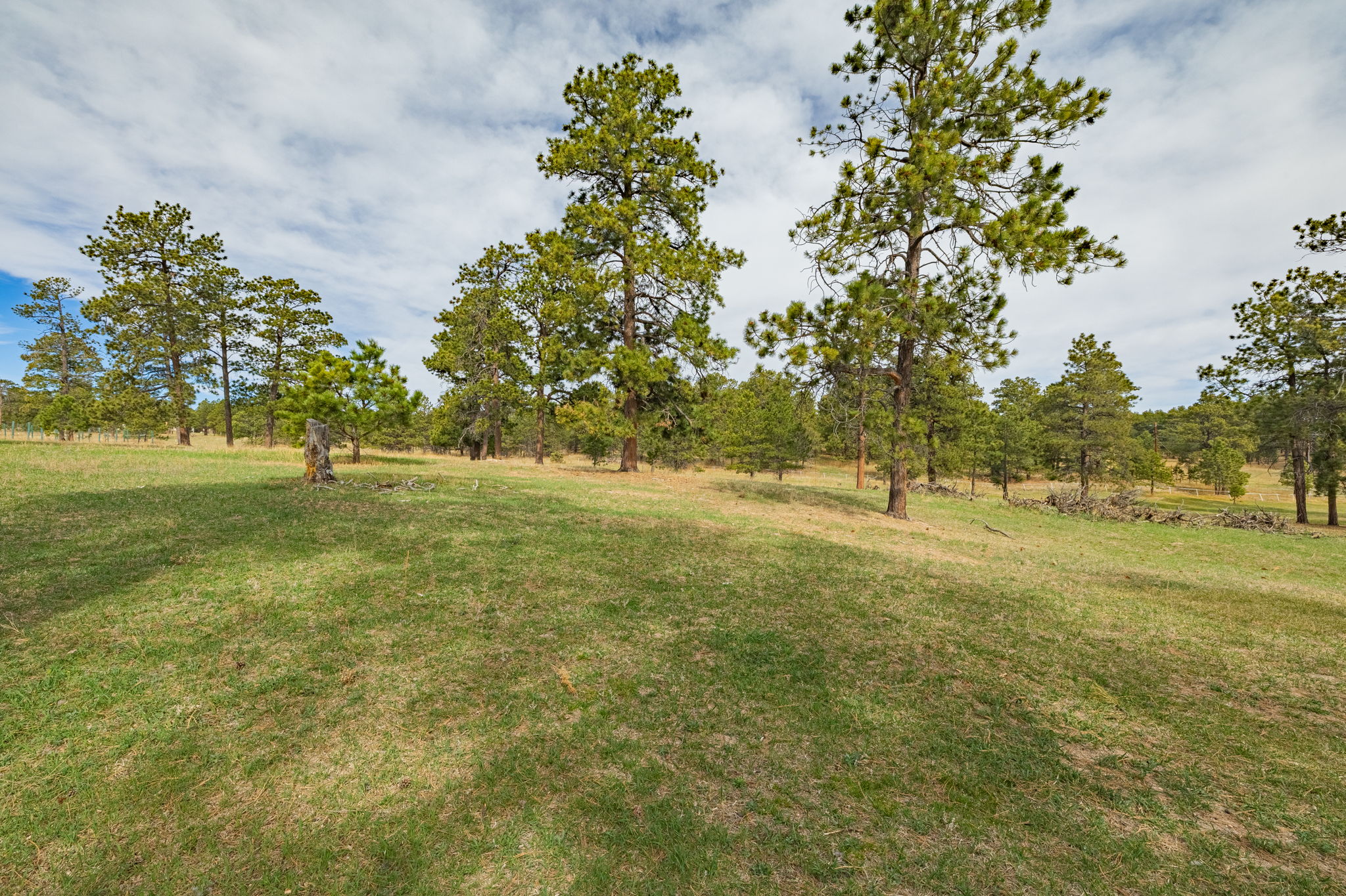  Historic Pine Run Ranch in Black Forest on rare 60 acres - 物件實景