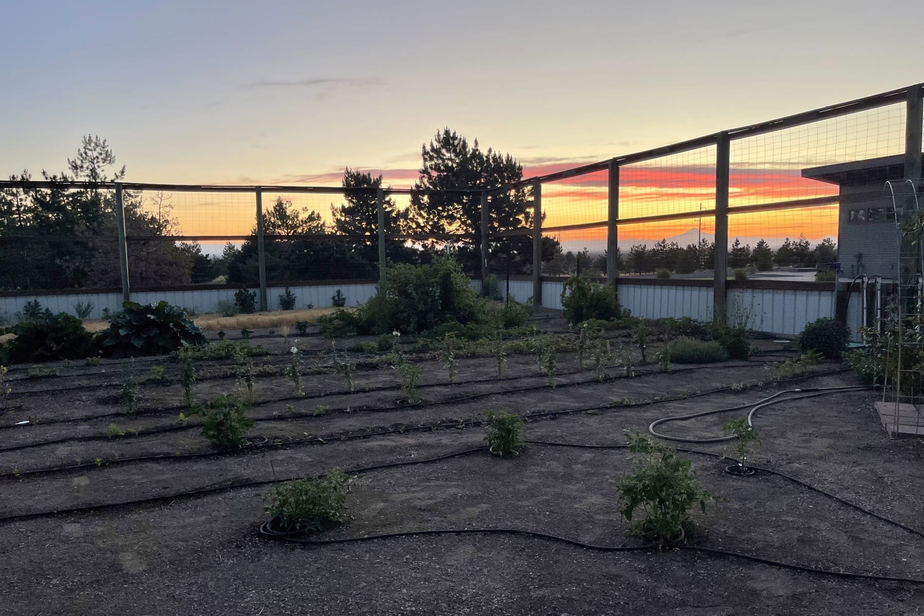  11301 SW Robinson Lane Powell Butte, OR 97753 - 物件實景