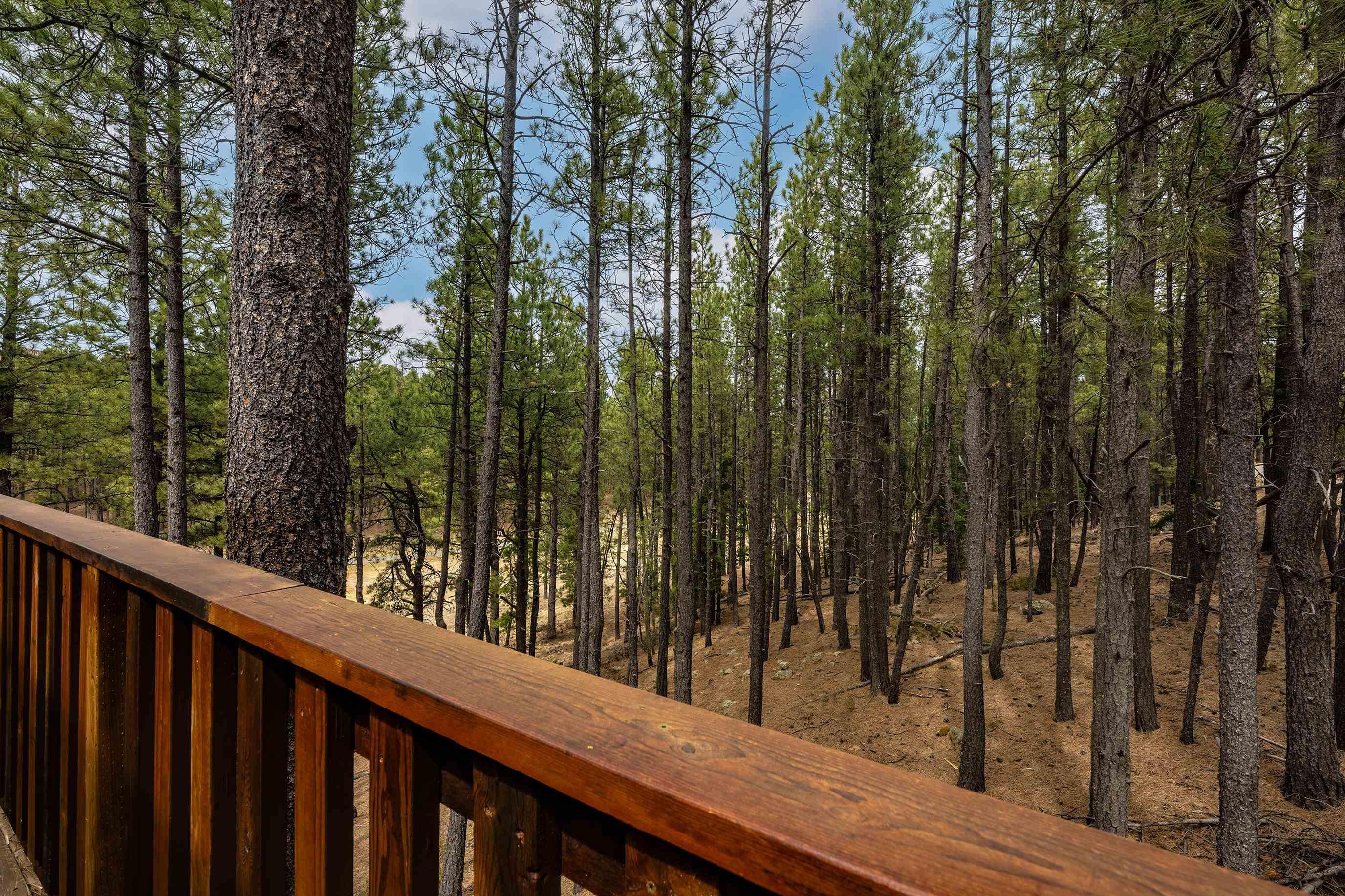Angel Fire, New Mexico, 87710, United States, 3 Bedrooms Bedrooms, ,2 BathroomsBathrooms,Residential,For Sale,1762090