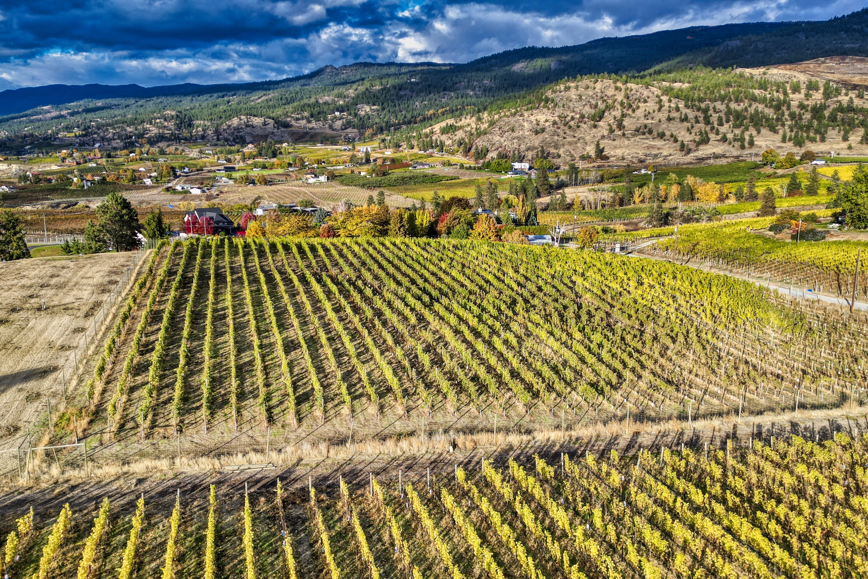  Naramata Bench Vineyard Estate - 物件實景