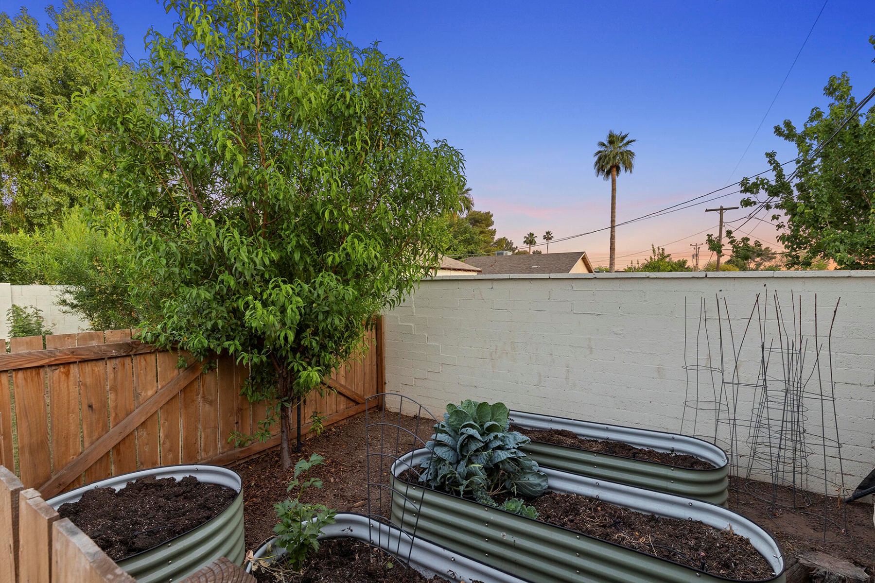  6804 N 11th Street  Phoenix, AZ - 物件實景