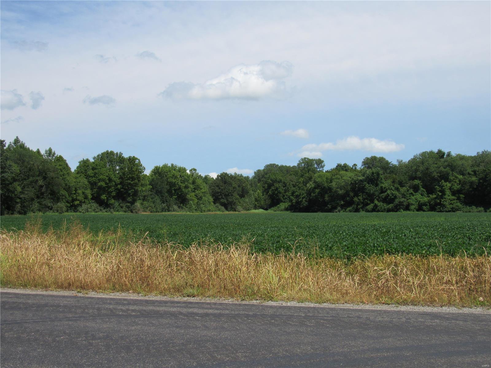 0 Wood Station Road, Alton, Illinois, 62002, United States, ,Residential,For Sale,0 Wood Station Road,1595953