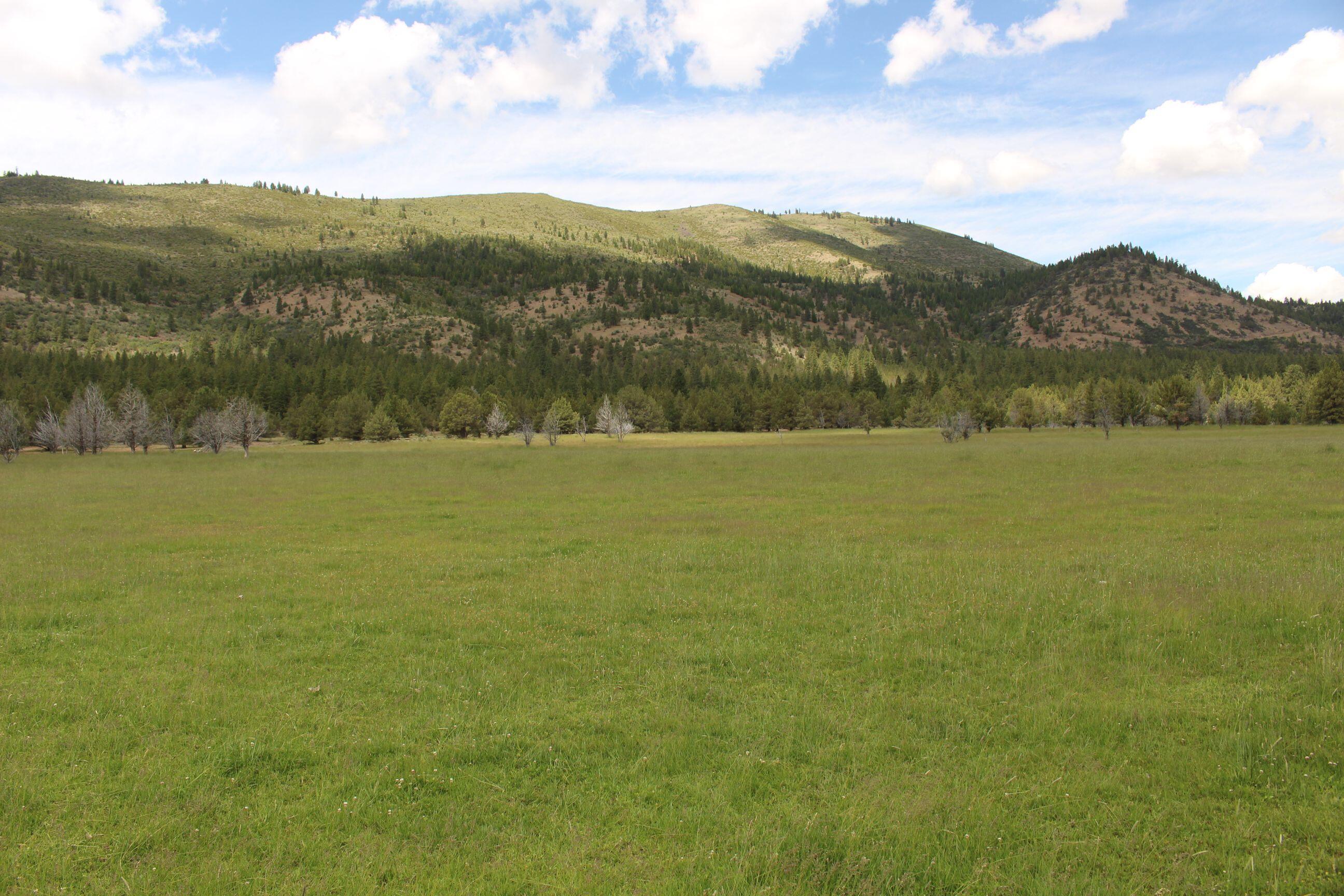 Bonanza, Oregon, 97623, United States, 2 Bedrooms Bedrooms, ,1 BathroomBathrooms,Residential,For Sale,1804536