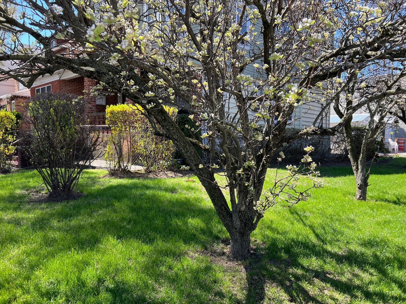 Brooklyn, New York, 11210, United States, ,Residential,For Sale,1779067
