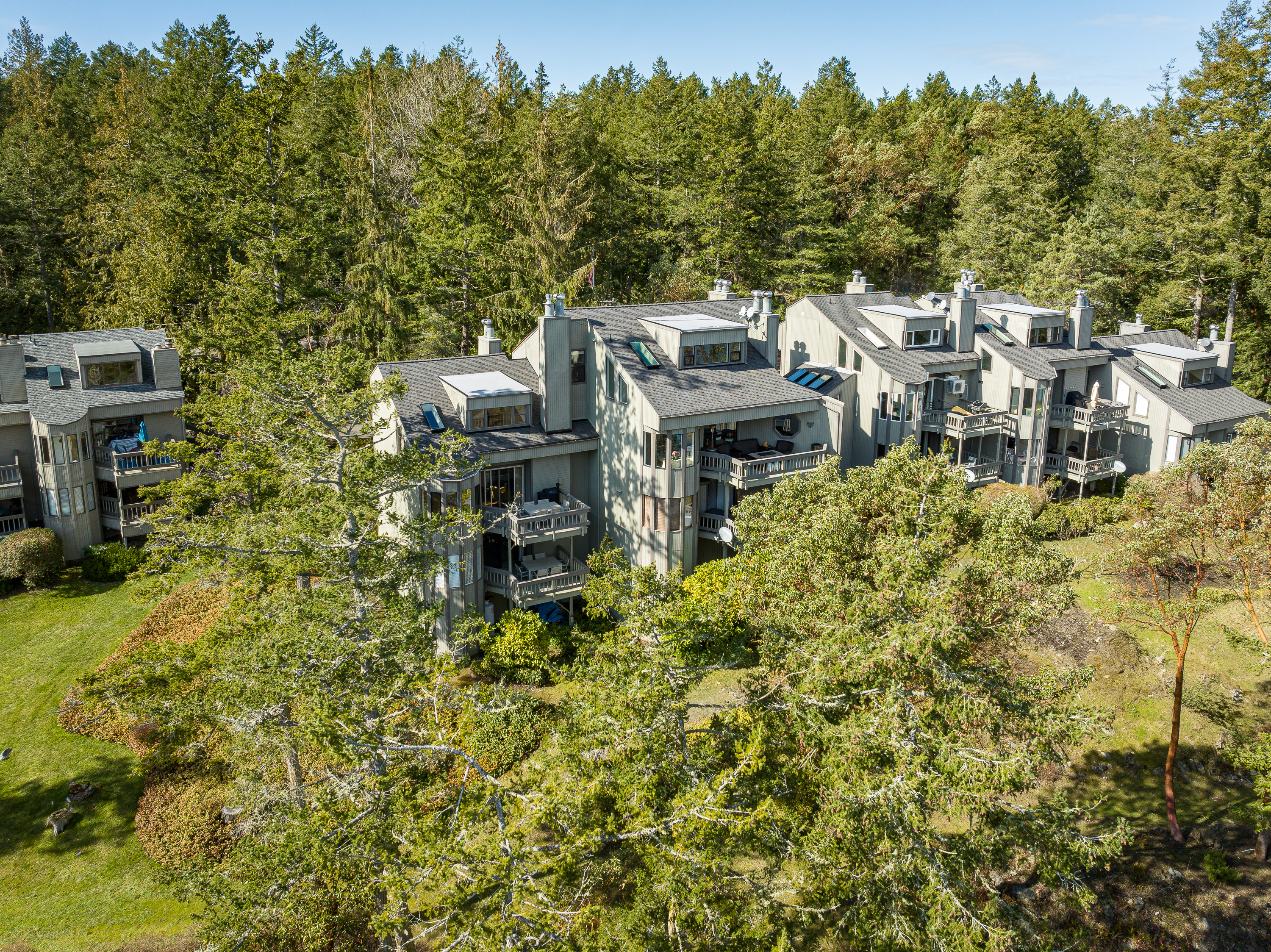  Tranquil Roche Harbor Retreat - 物件實景