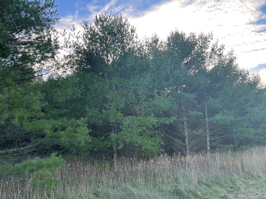 Baileys Harbor, Wisconsin, 54202, United States, ,Land,For Sale,1987673