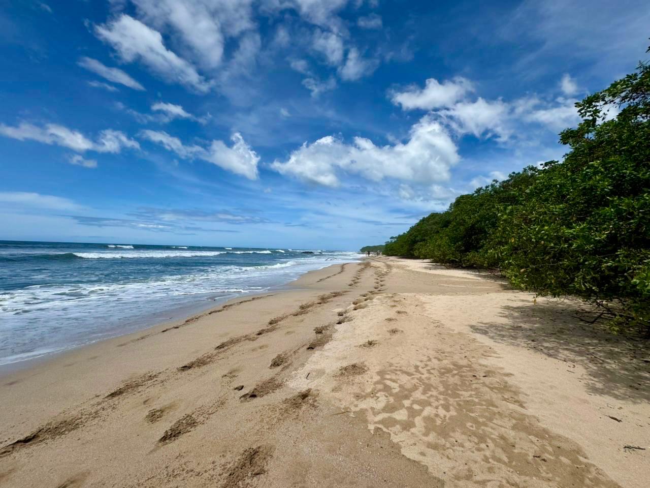 Langosta, Guanacaste, CR, ,Land,For Sale,1912110