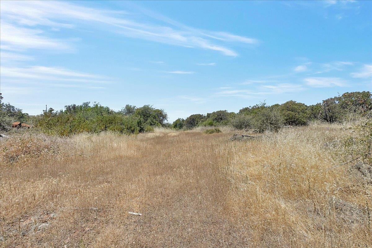 Oregon House, California, 95962, United States, ,Land,For Sale,1975767