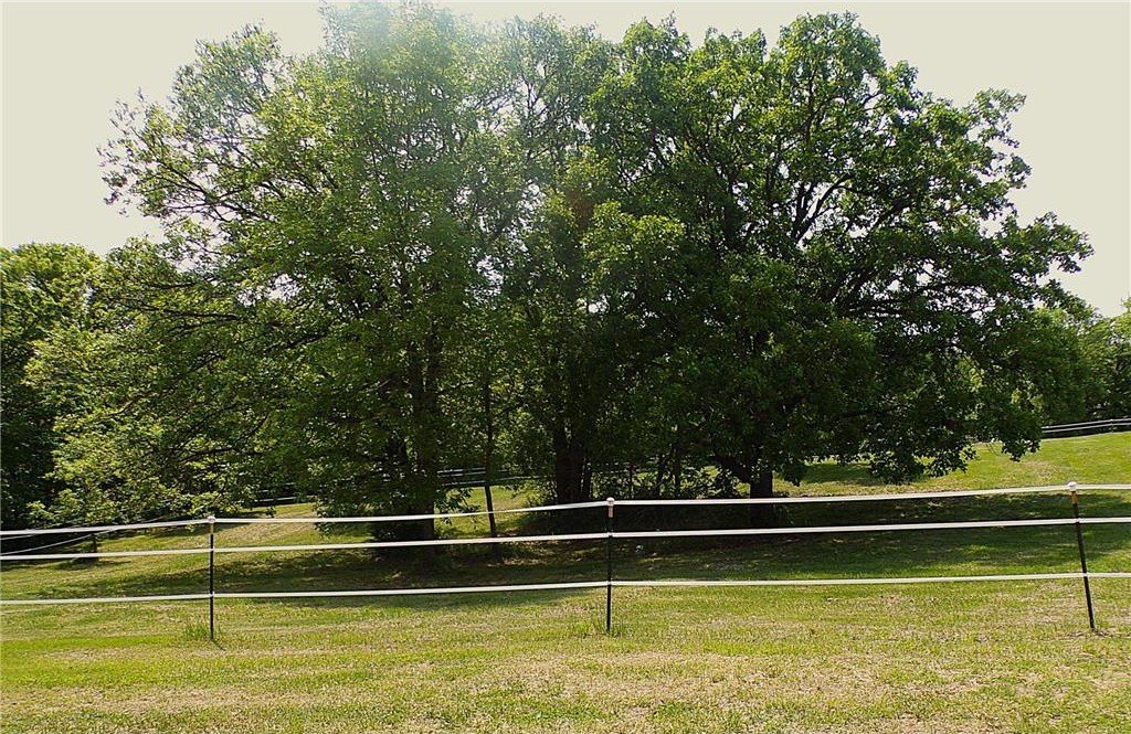 Alexandria, Minnesota, 56308, United States, 3 Bedrooms Bedrooms, ,1 BathroomBathrooms,Residential,For Sale,1978557