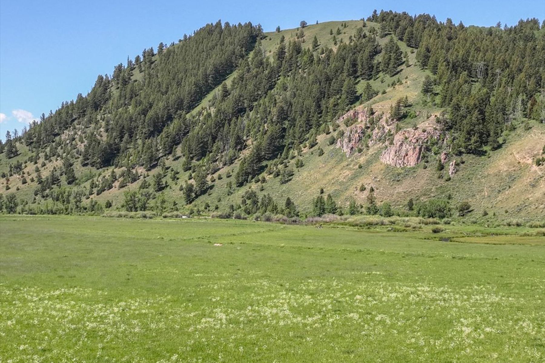  The Mead Ranch - 物件實景