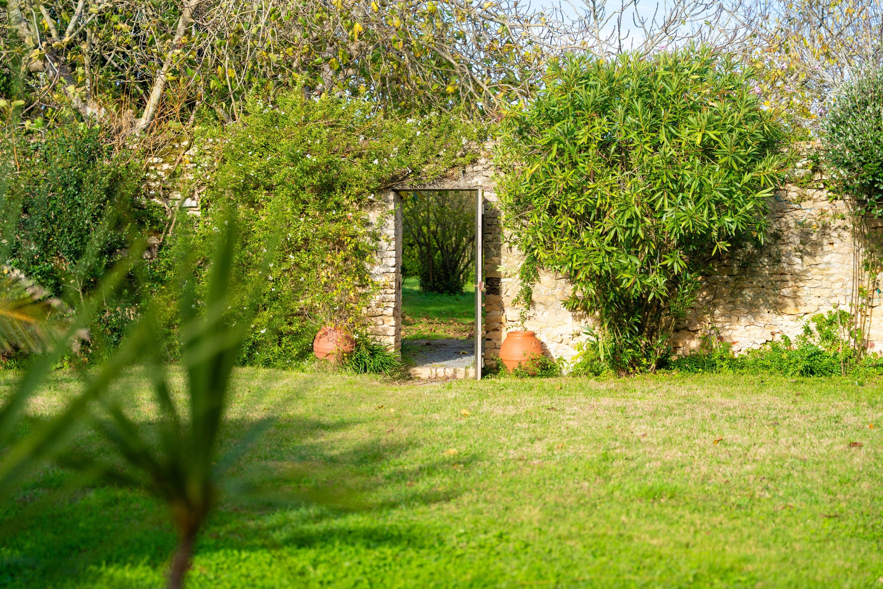  Île de Ré - Loix - Charming village house - 物件實景