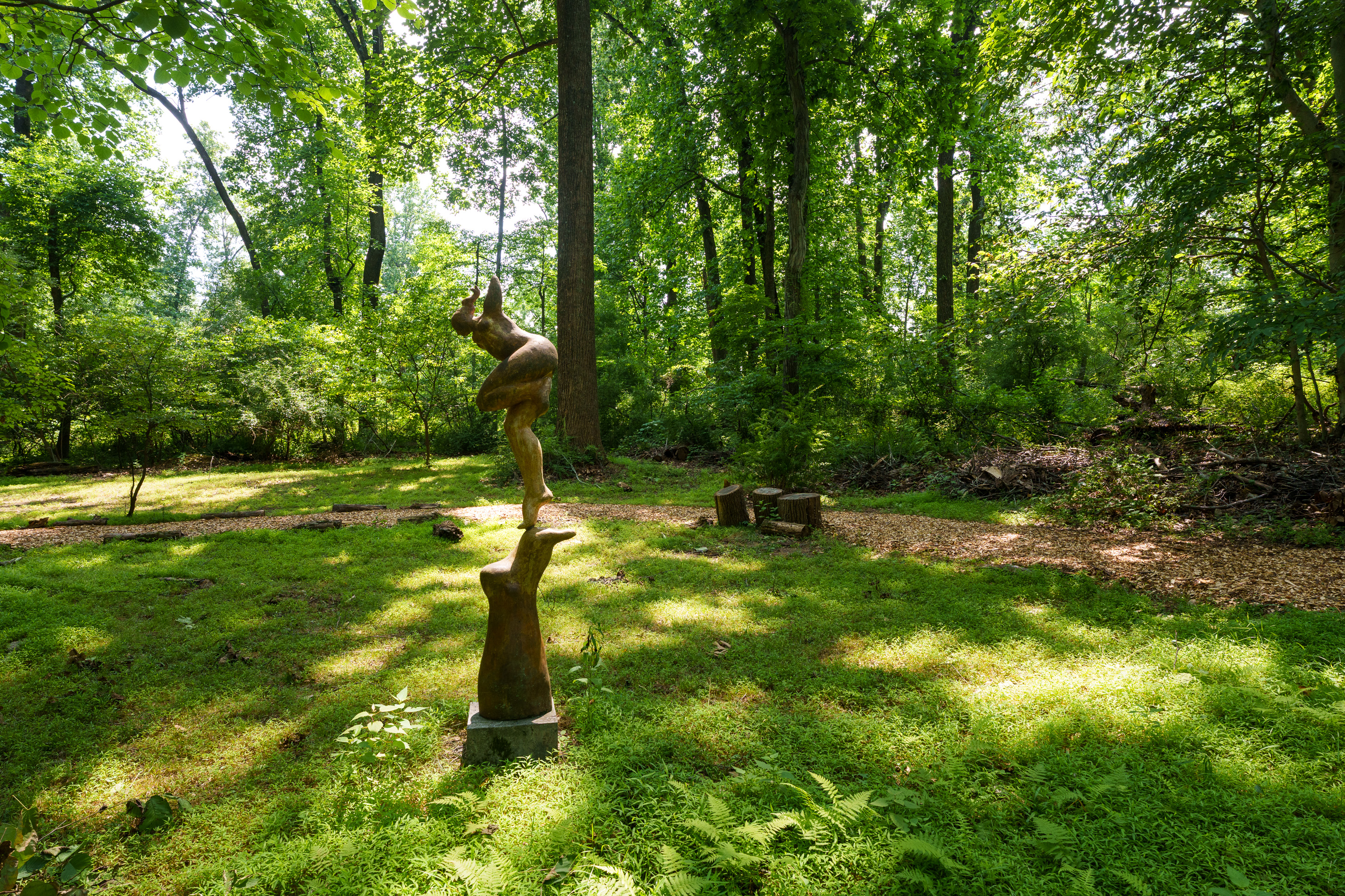  Scenic roads lead to this private 10-acre property - 物件實景