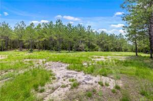 Hornbeck, Louisiana, 71439, United States, 2 Bedrooms Bedrooms, ,2 BathroomsBathrooms,Residential,For Sale,1710052