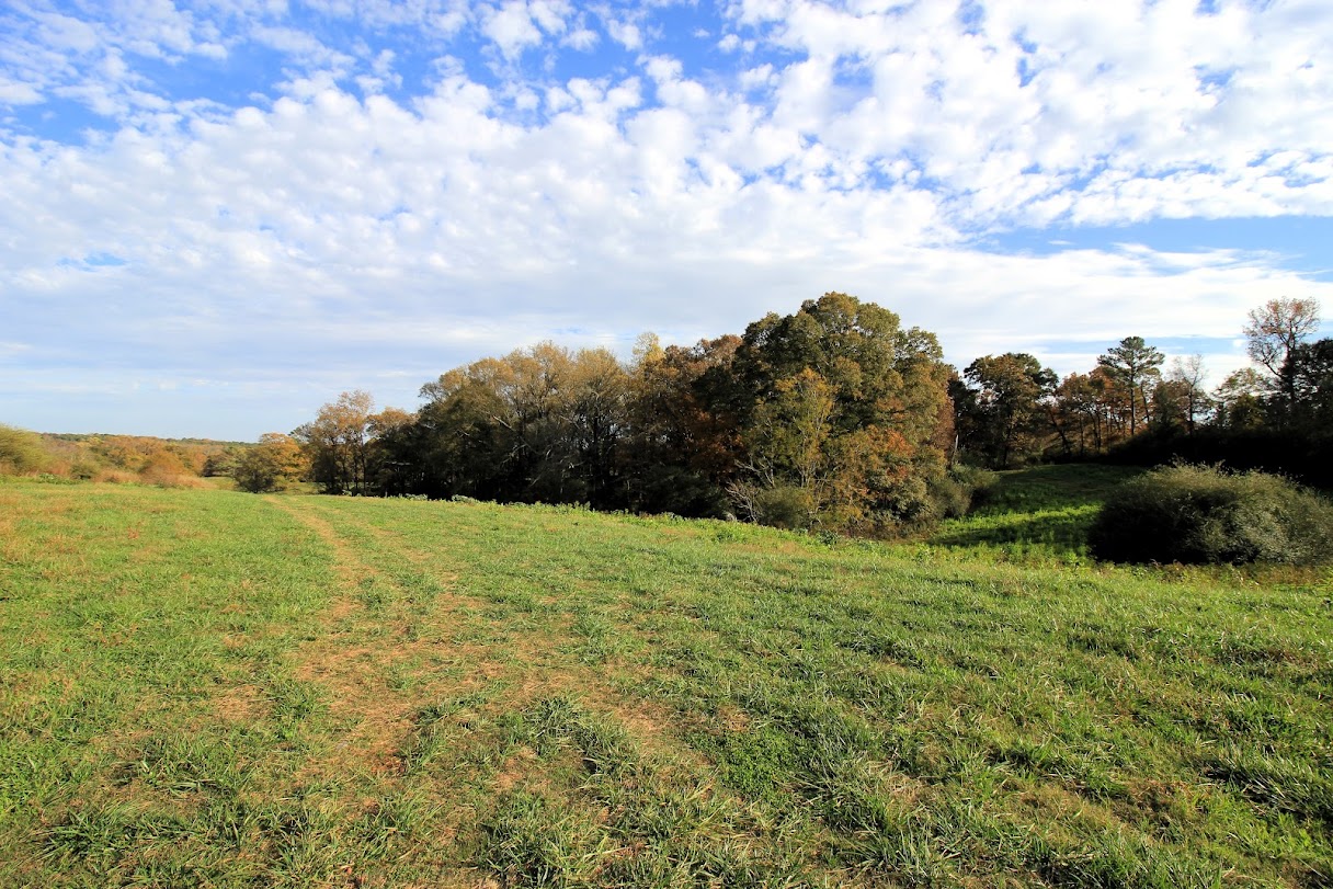 Bowdon, Georgia, 30108, United States, ,Land,For Sale,1989904