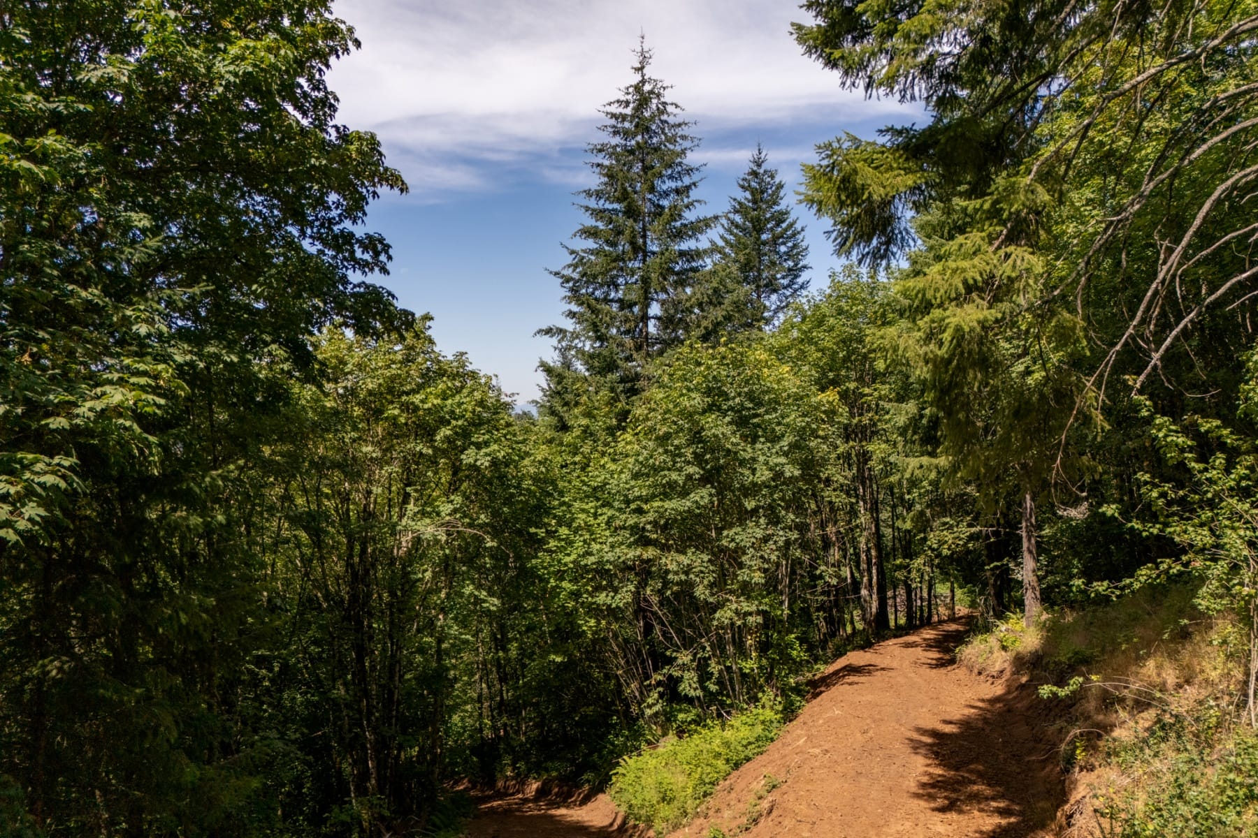  30540 NE BELL RD Newberg, OR 97132 - 物件實景
