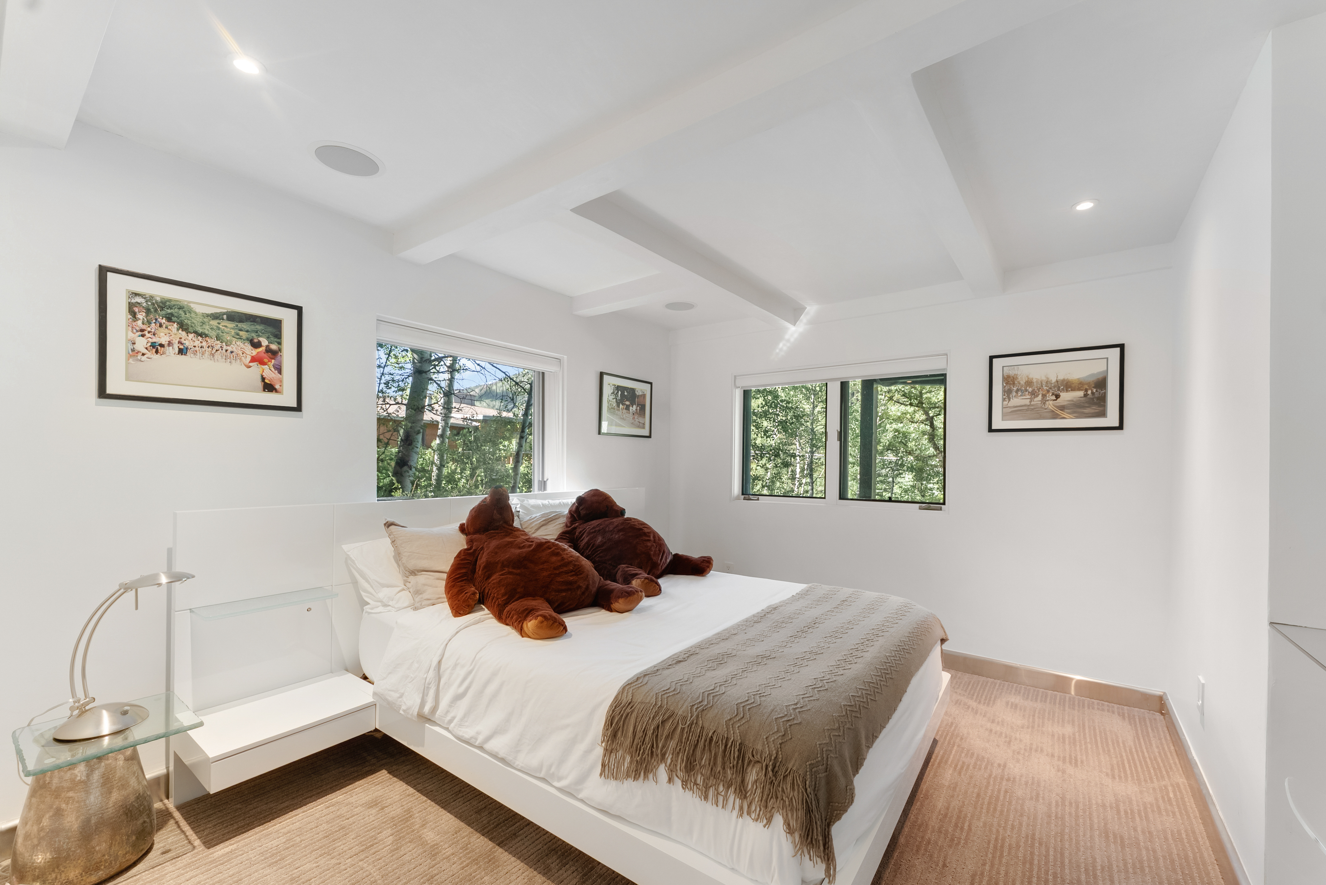  257 Mountain Laurel Drive, Aspen, CO, 81611 - 物件實景