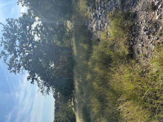 Fredericksburg, Texas, 78624, United States, 3 Bedrooms Bedrooms, ,2 BathroomsBathrooms,Residential,For Sale,1984349