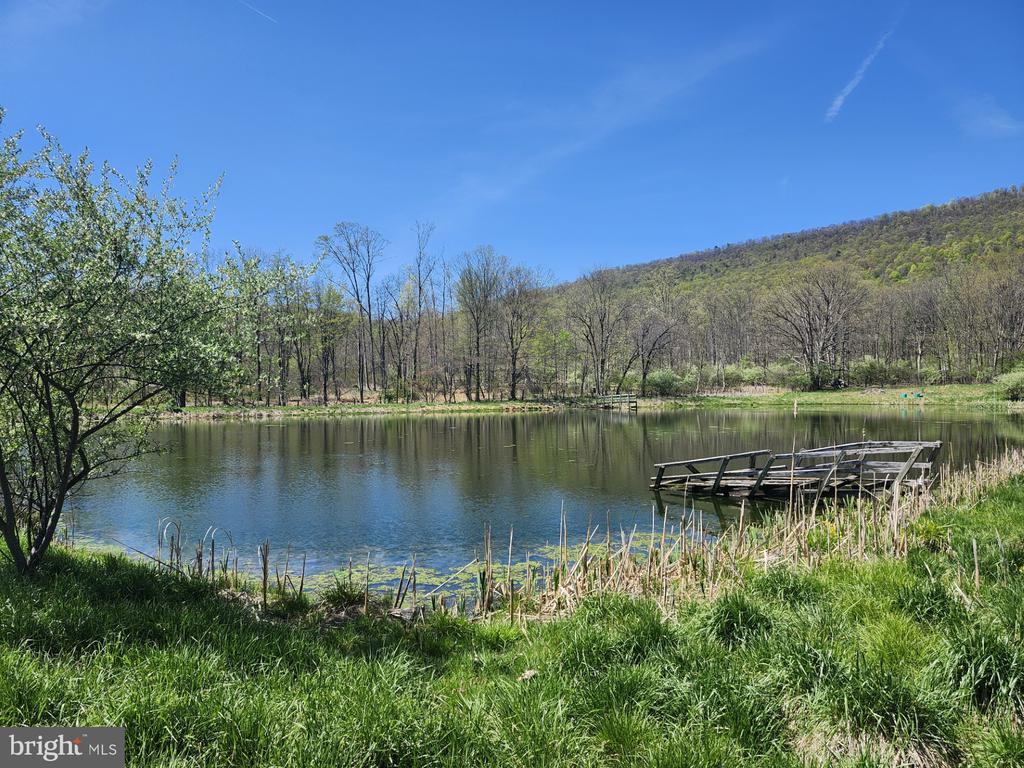 MAYSVILLE, West Virginia, 26833, United States, ,Residential,For Sale,1784747