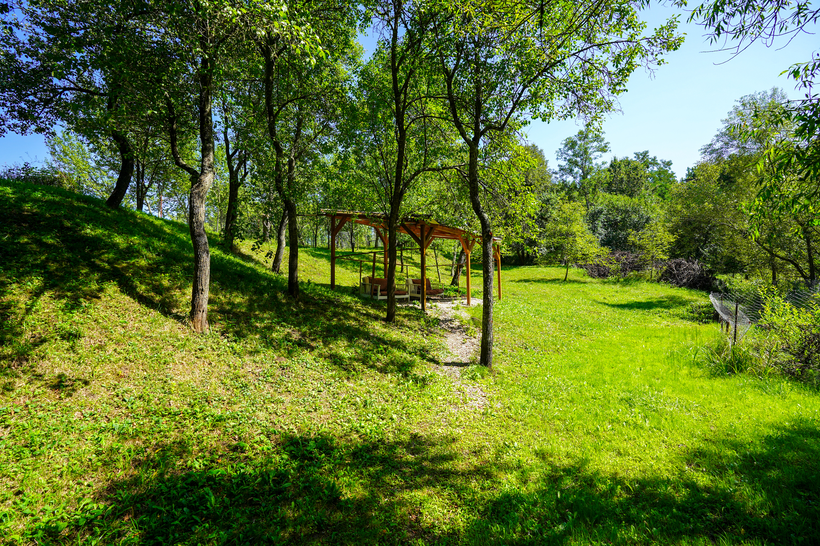  Restored Authentic Saxon House in Viscri, Between Heritage and Nature - 物件實景