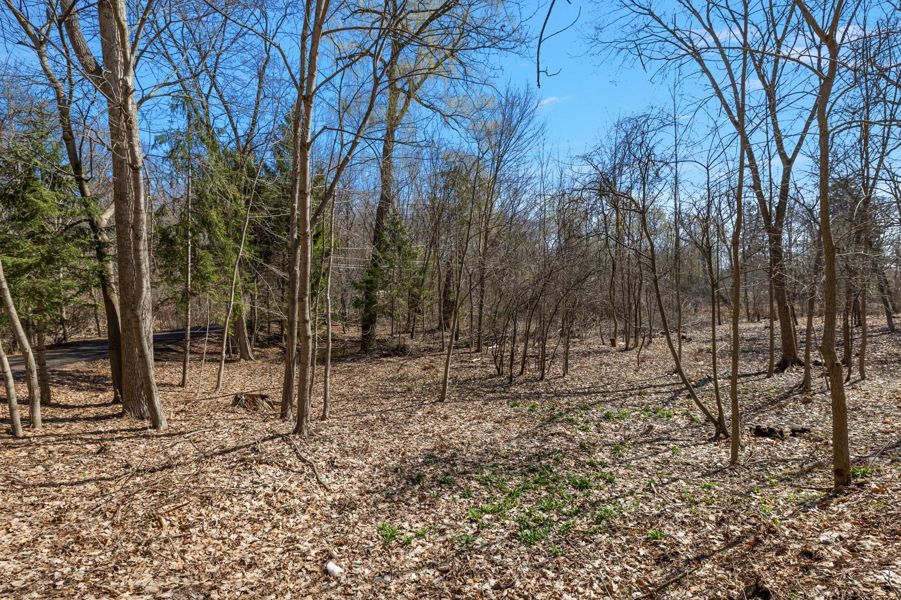  Bloomfield Hills - 物件實景