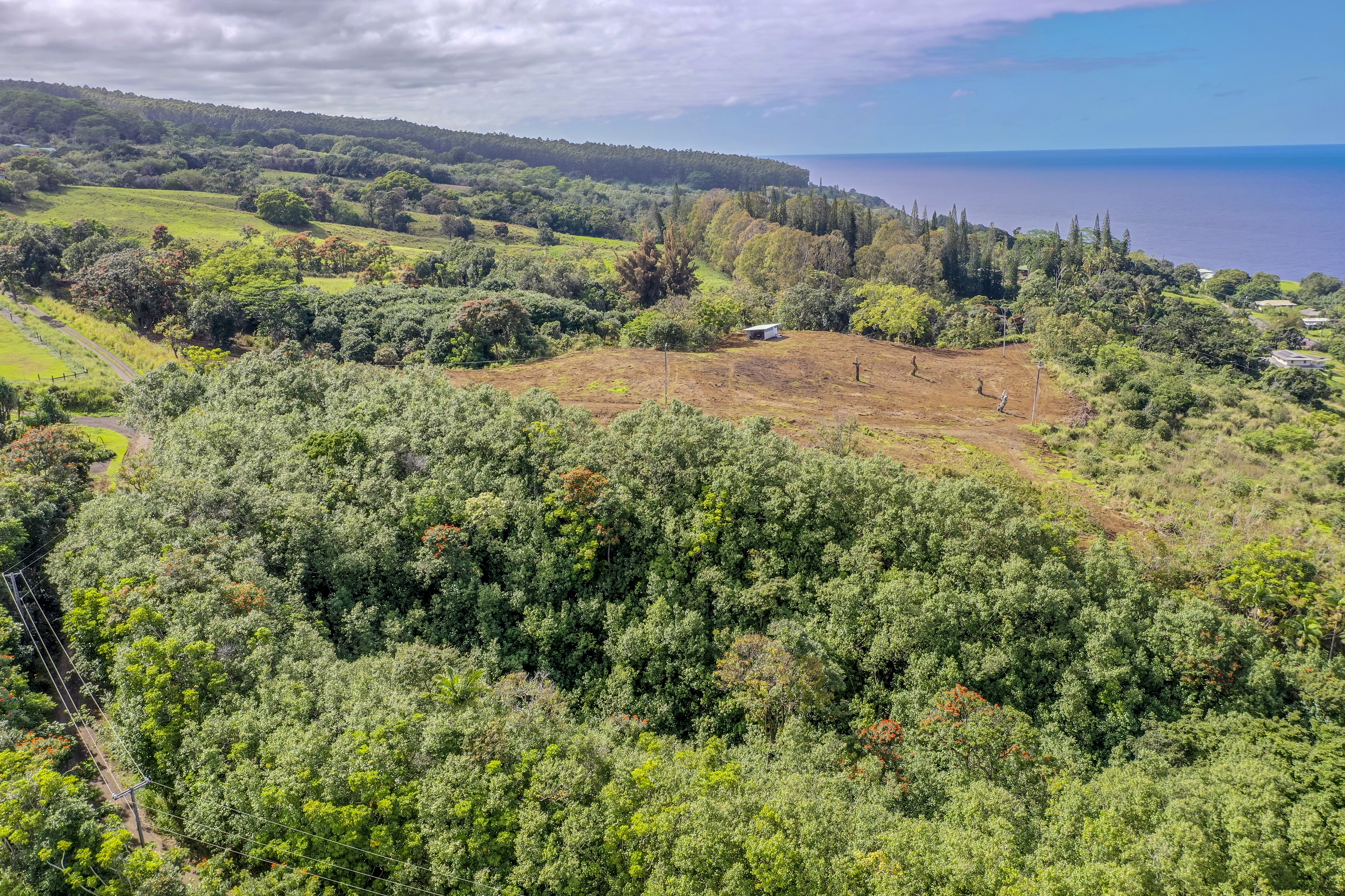  32-360 Kapena Rd, Ninole, HI, 96773 - 物件實景