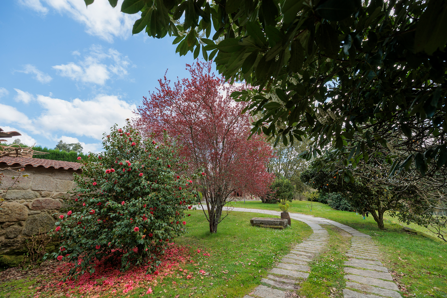  House Meder vineyards - 物件實景