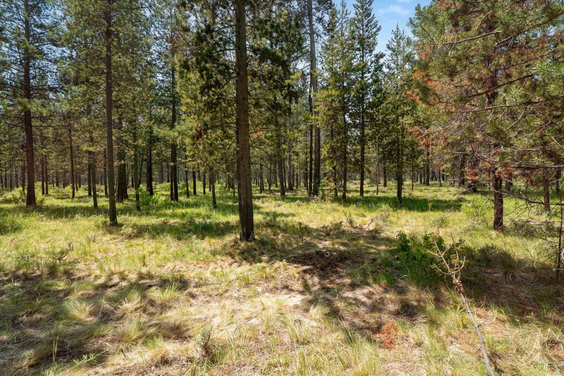  55855 Hashknife Road #18 Bend, OR 97707 - 物件實景