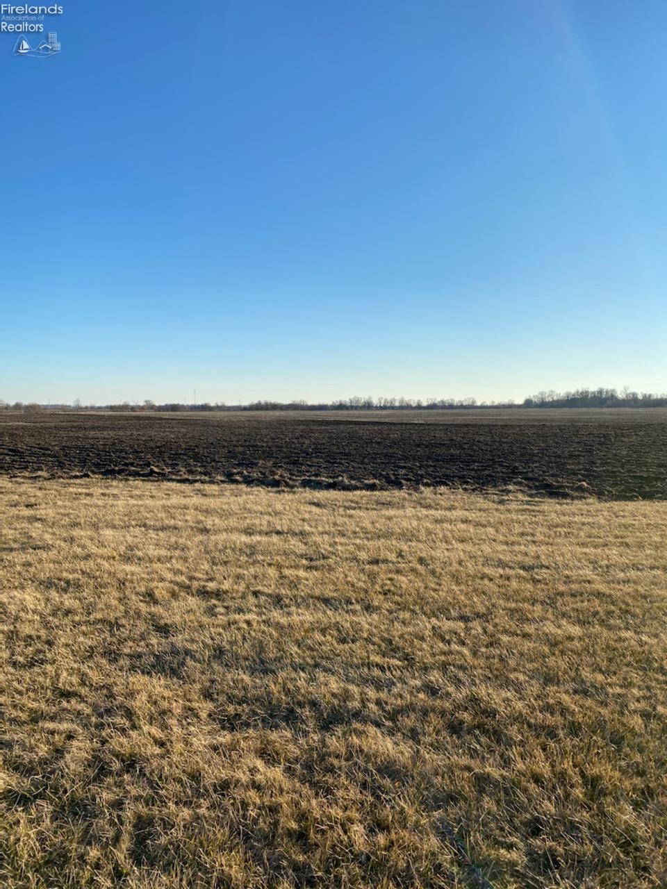 Milan, Ohio, 44846, United States, ,Land,For Sale,2008849