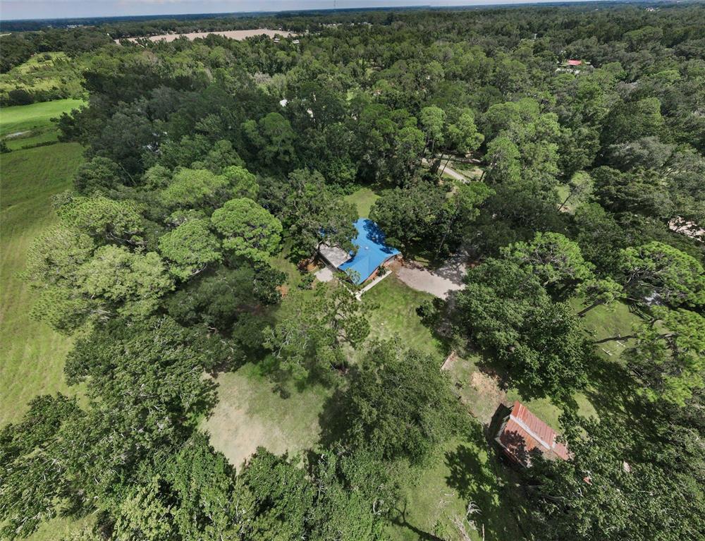 Plant City, Florida, 33566, United States, 3 Bedrooms Bedrooms, ,2 BathroomsBathrooms,Residential,For Sale,1932483