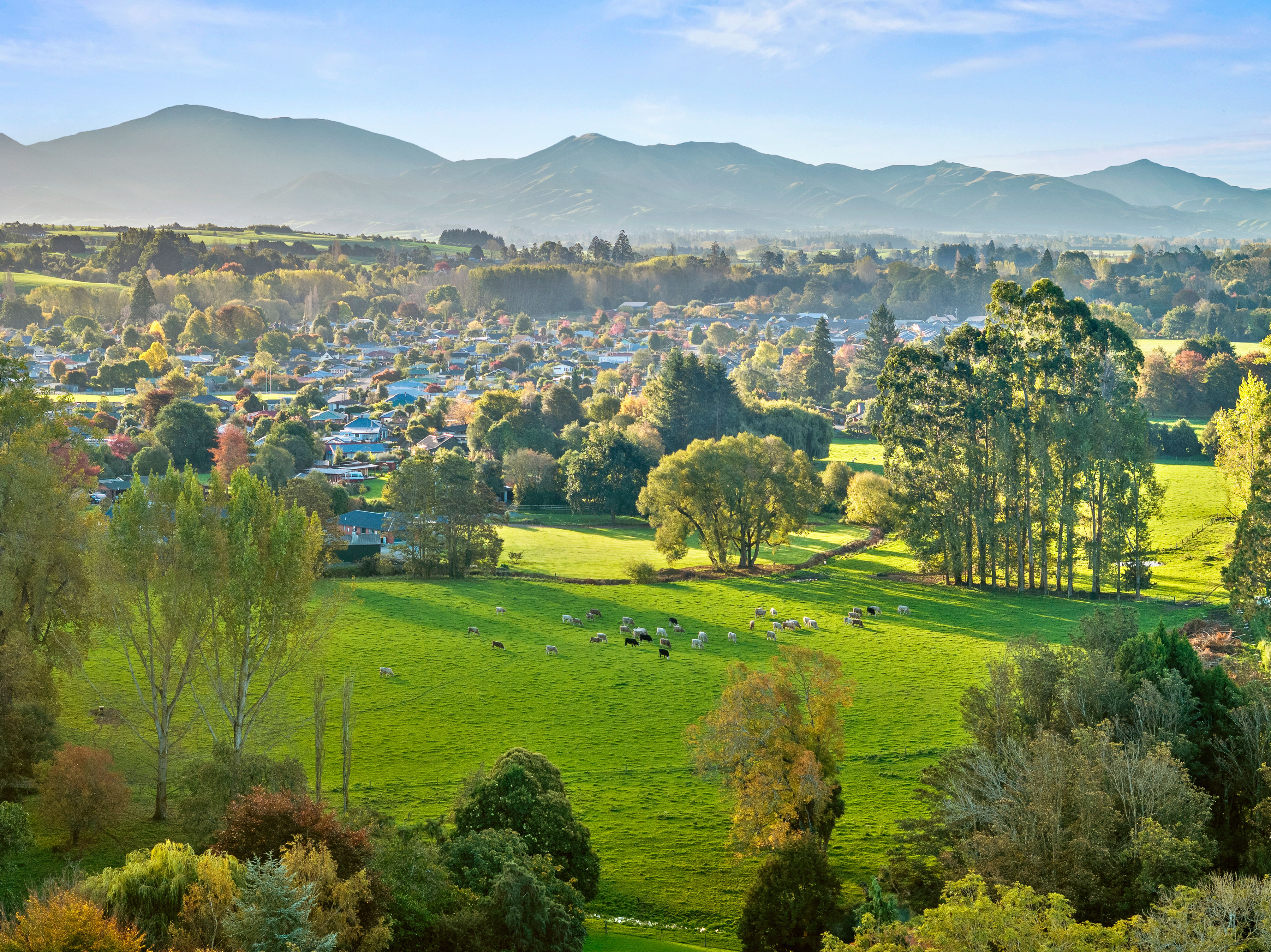  Landmark Homestead rezoned with substantial landbank - 物件實景