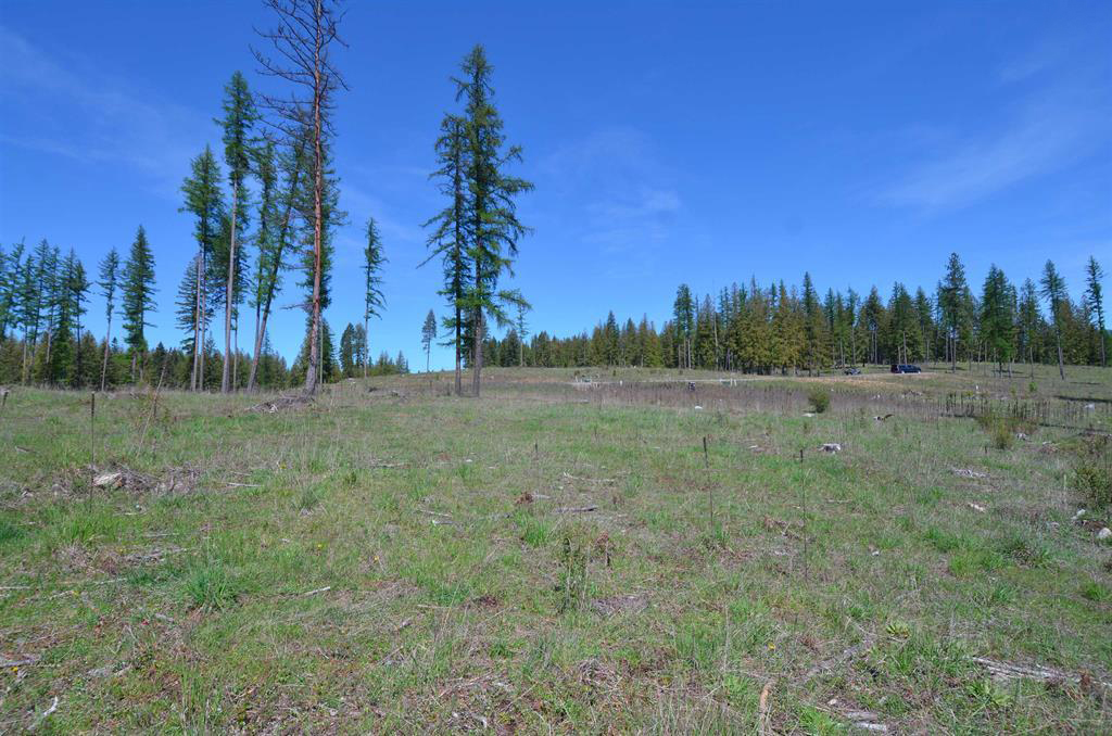 Sagle, Idaho, 83860, United States, ,Residential,For Sale,1880549