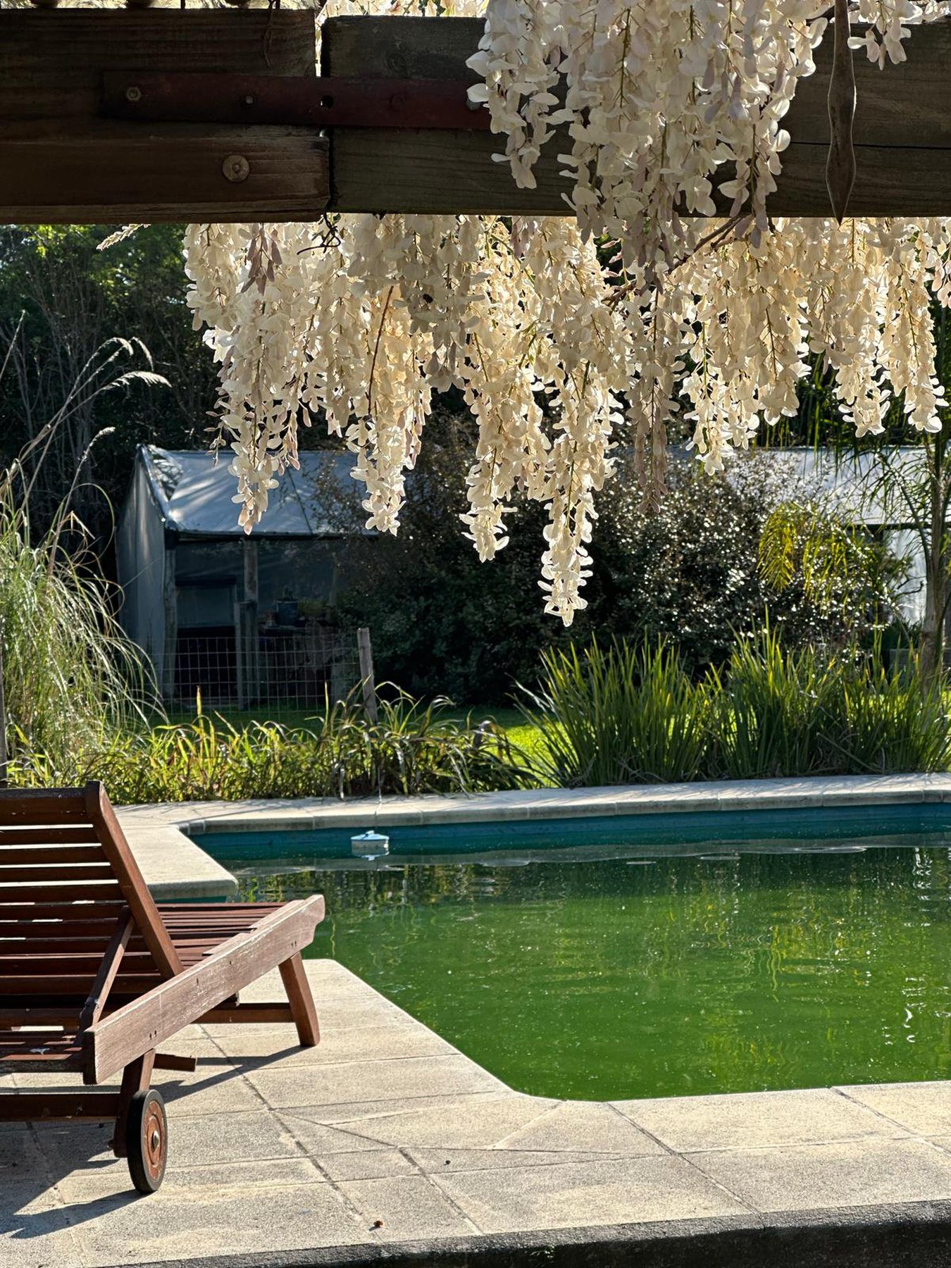  Elegant Country Home Near Colonia del Sacramento - 物件實景
