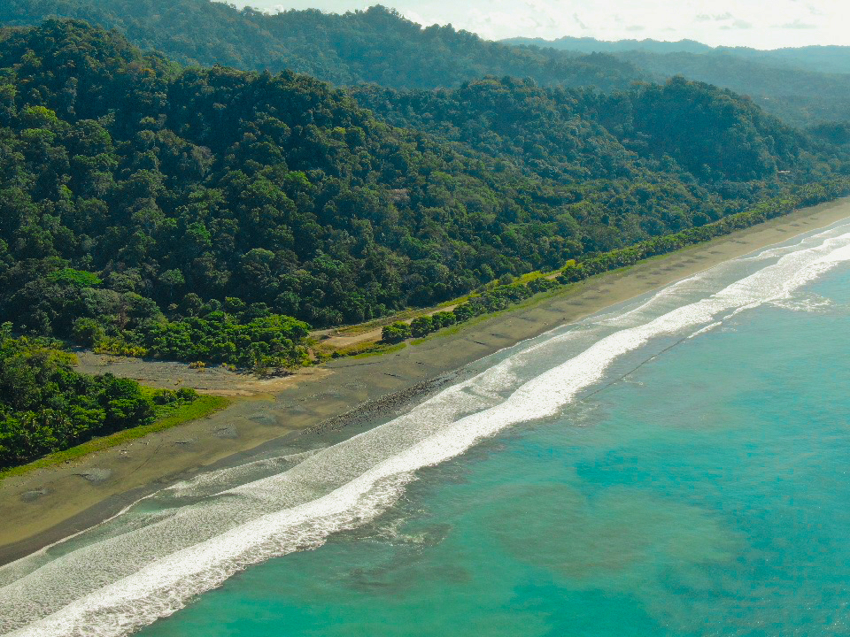 Osa Peninsula, Carate, Cabo Matapalo, Puntarenas, CR, ,Land,For Sale,Osa Peninsula, Carate,1585857