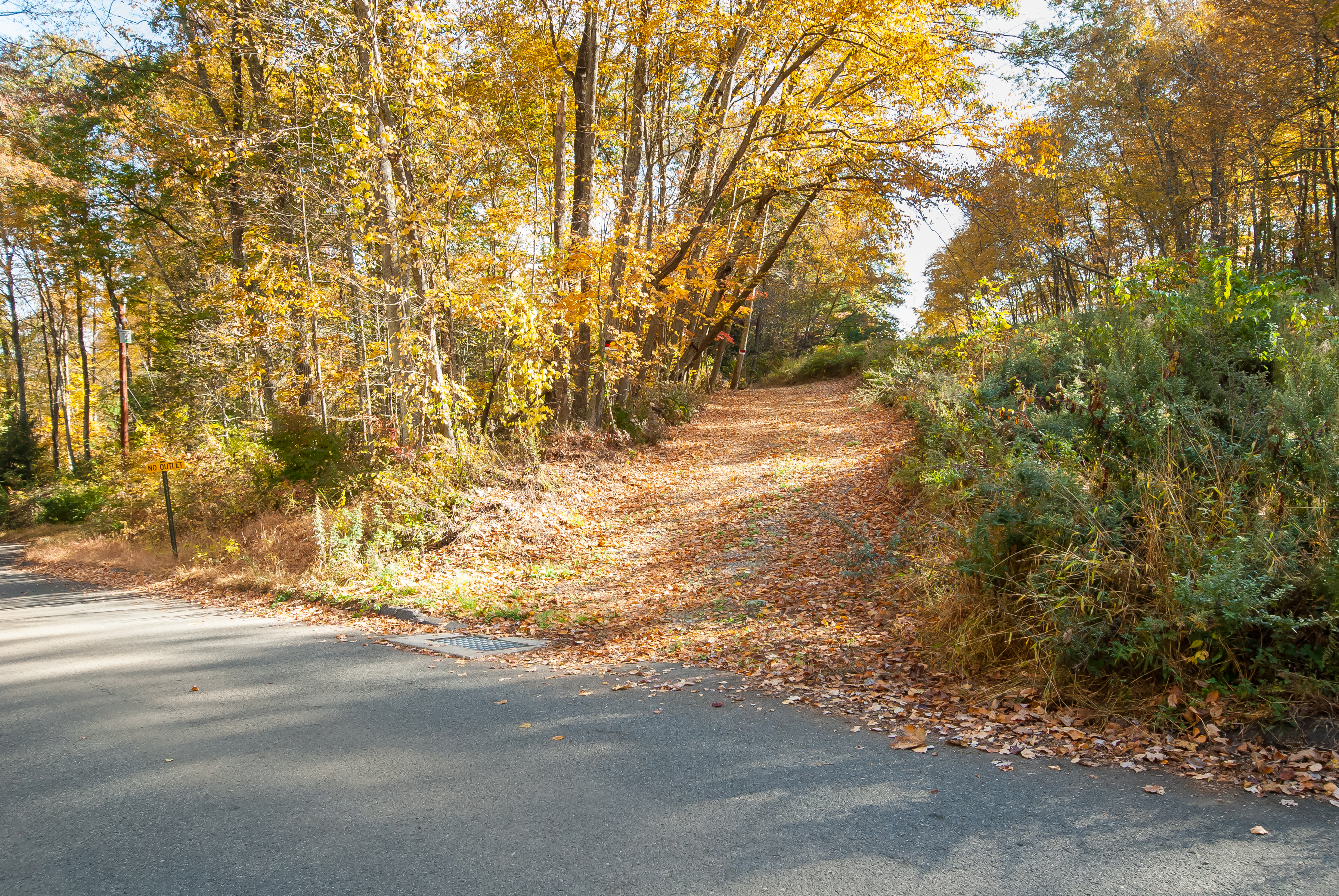  Nestled in the Hills of Southbury - 物件實景