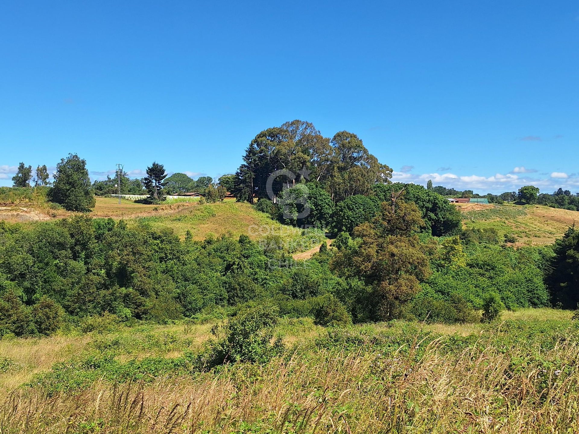 Osorno, Chile, ,Land,For Sale,1972838