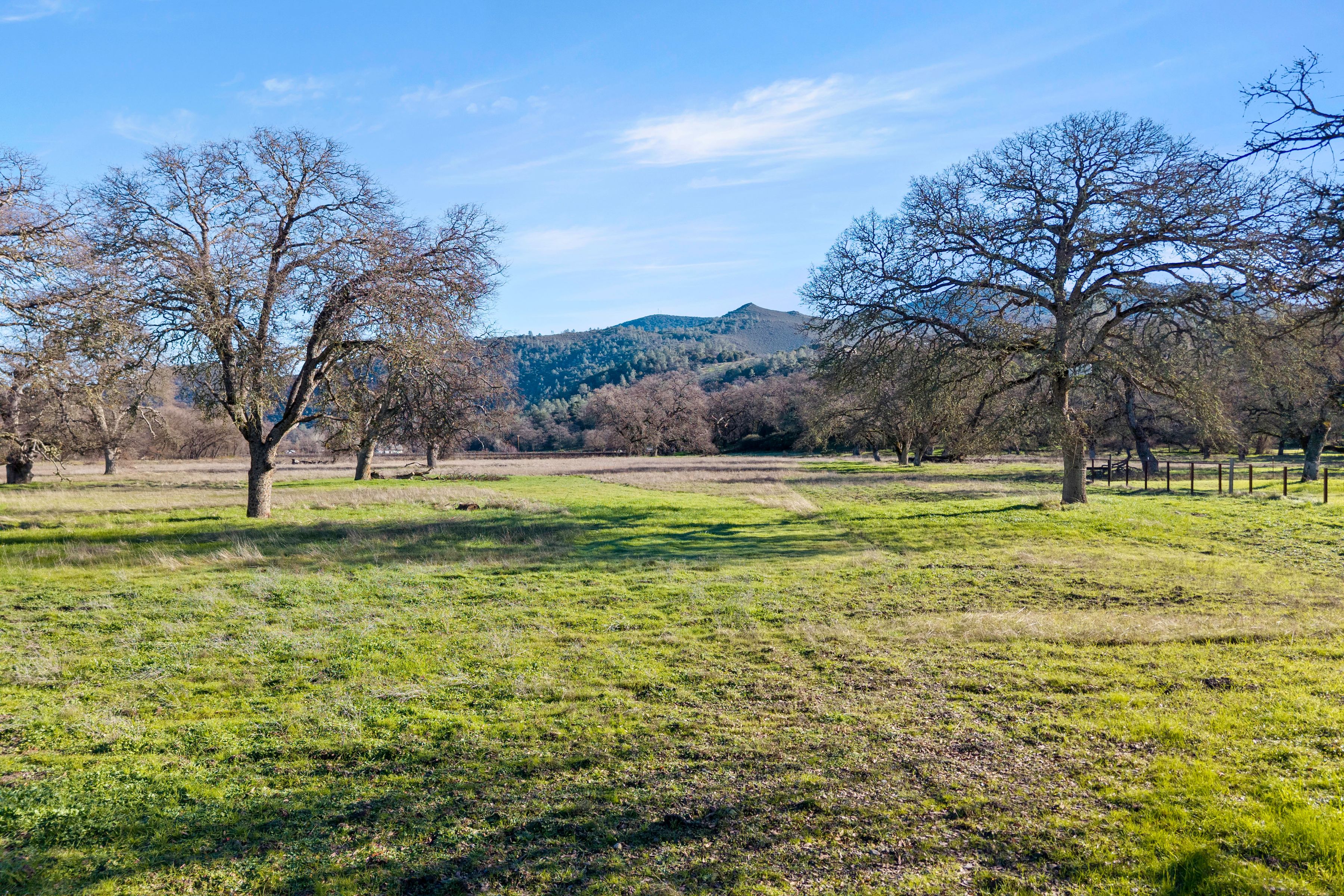  4962 Gaddy Lane - 物件實景