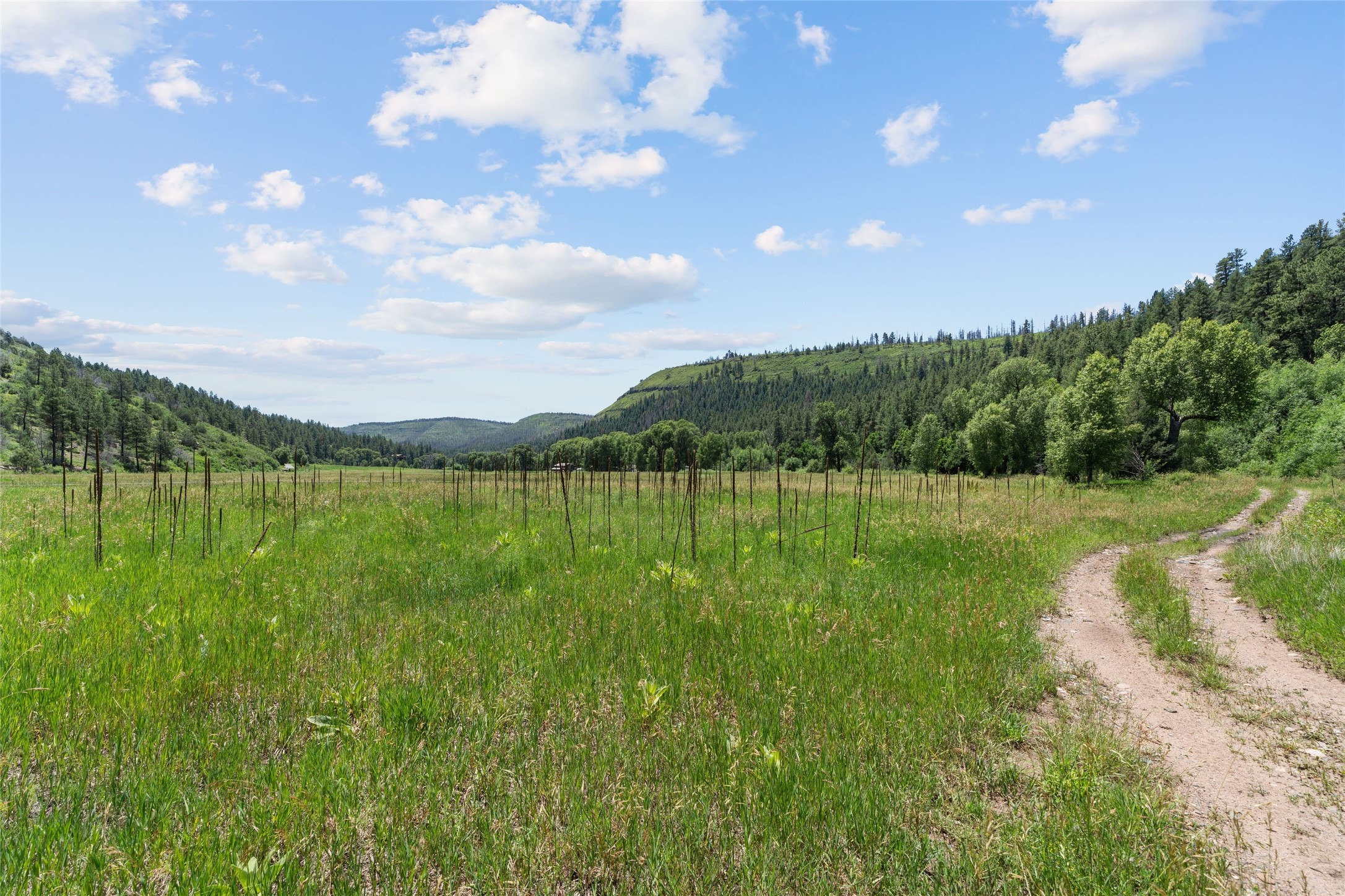  997 New Mexico Highway 65 - Rio de Vega Ranch - 物件實景