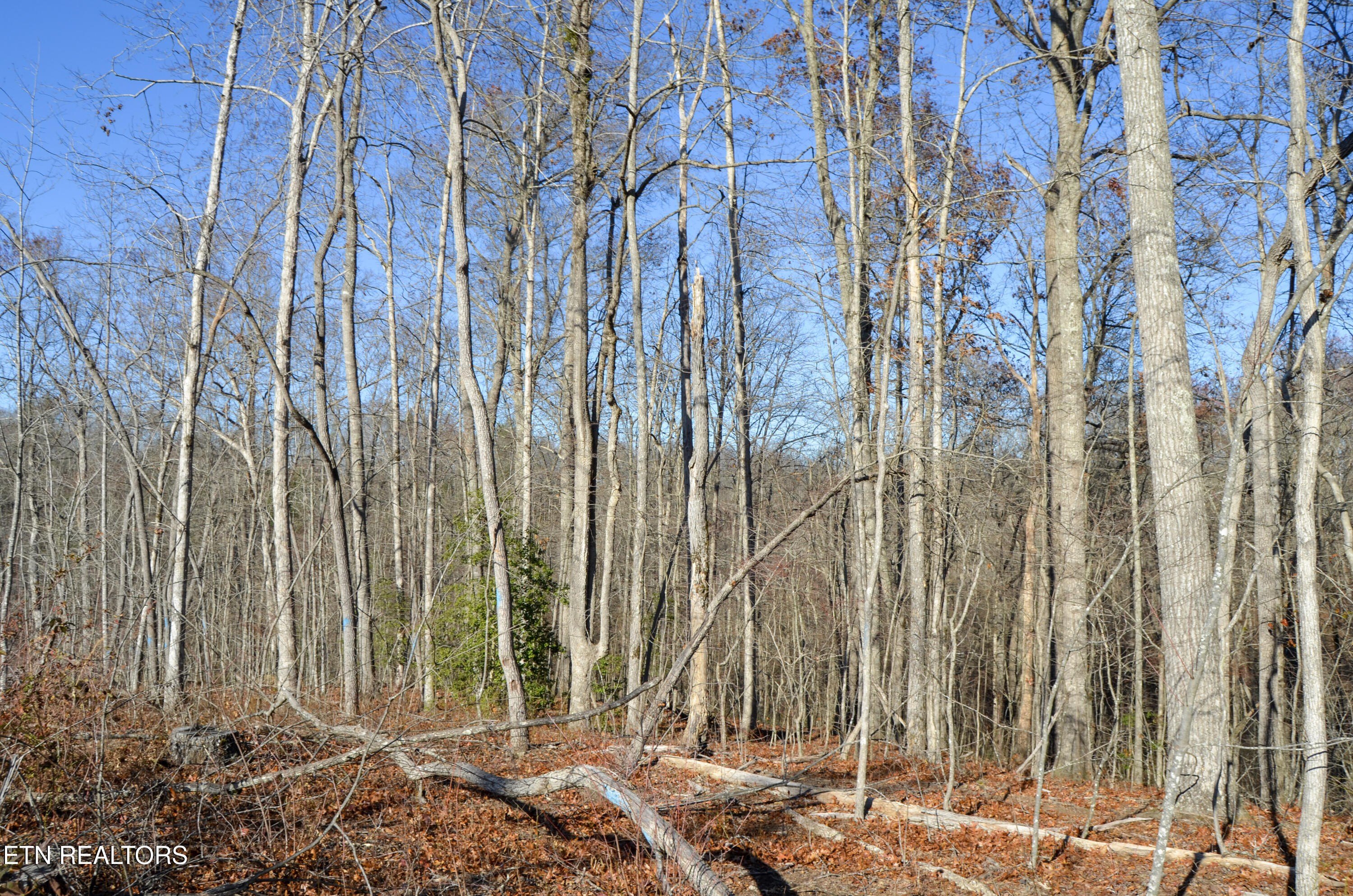 Crossville, Tennessee, 38555, United States, ,Land,For Sale,1978266