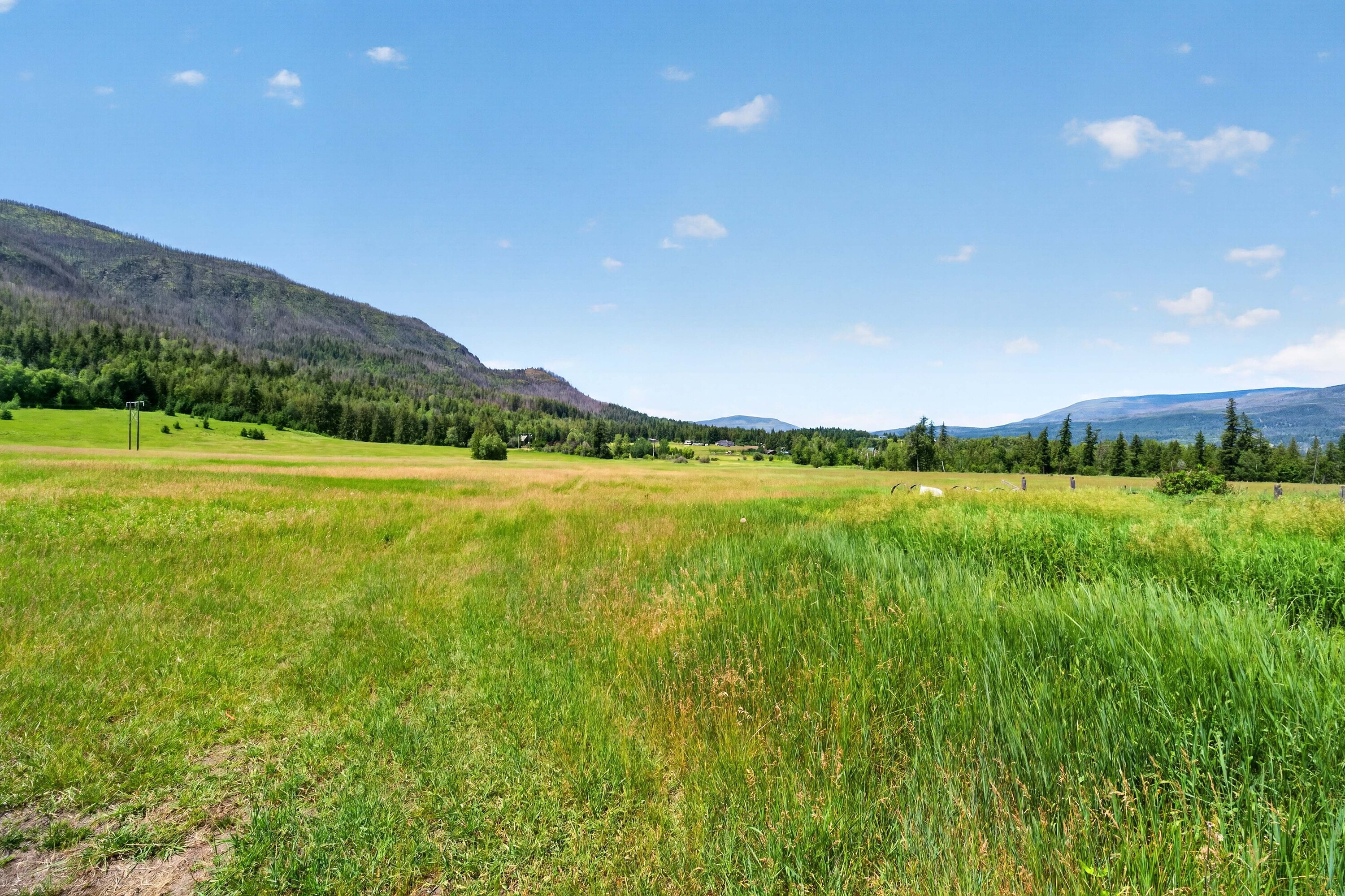  158 Acre Lakeview Homestead - 物件實景