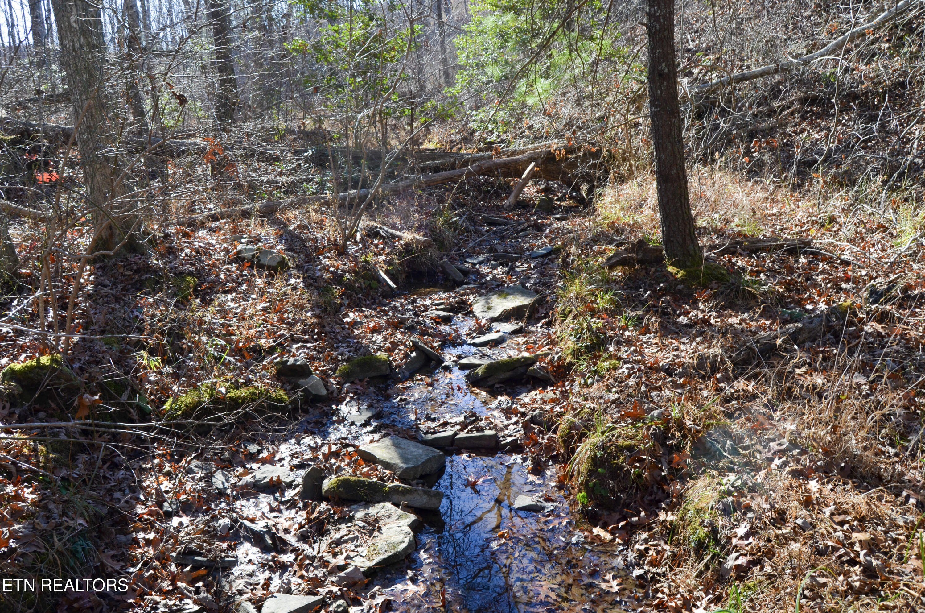 Crossville, Tennessee, 38555, United States, ,Land,For Sale,1978266