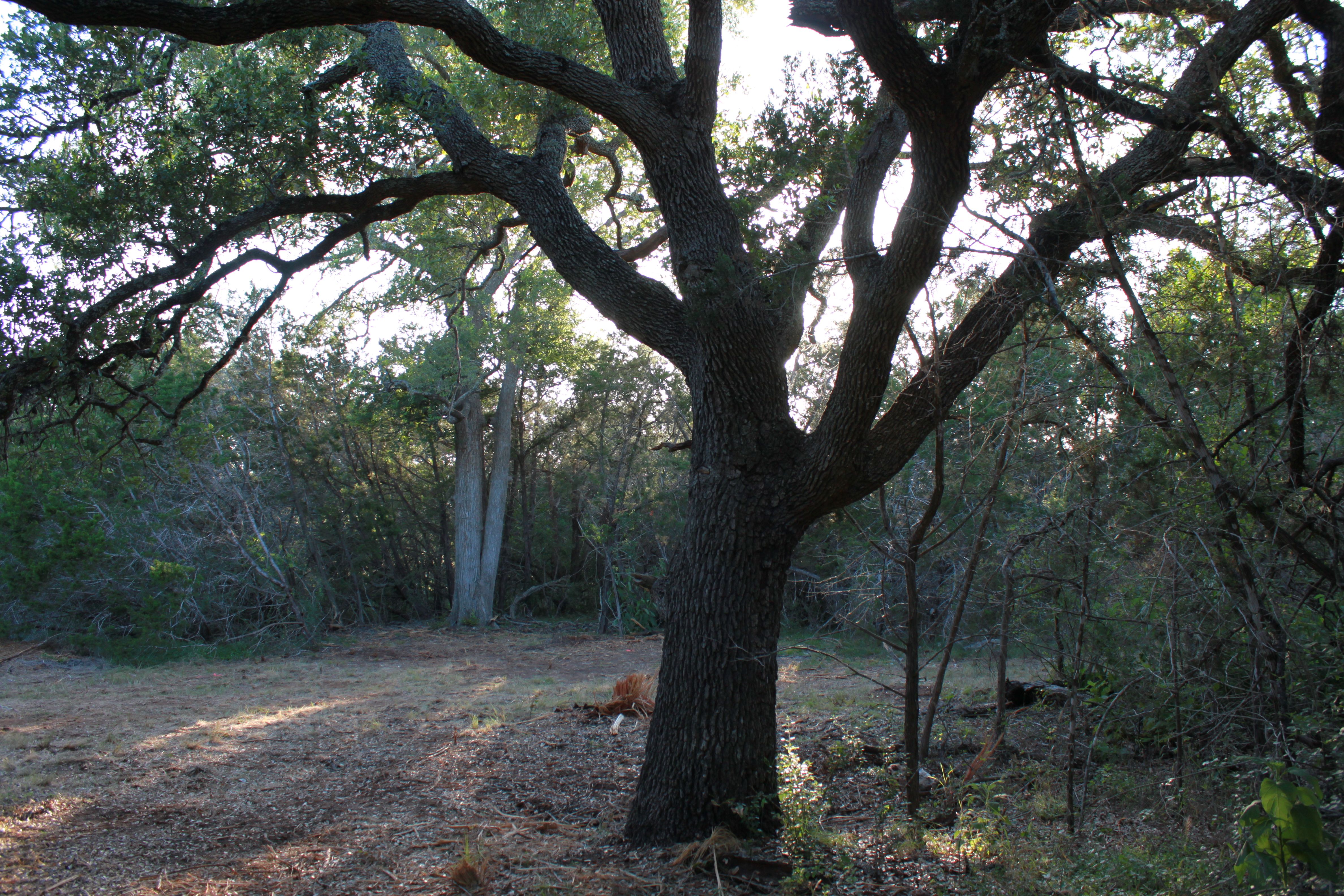  3 Acres of Hill Country Ready to Build on - 物件實景