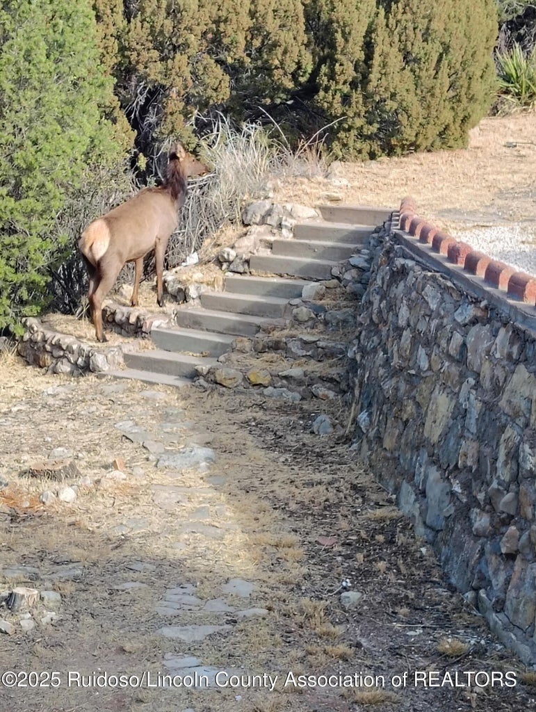 High Rolls Mountain Park, New Mexico, 87110, United States, 4 Bedrooms Bedrooms, ,3 BathroomsBathrooms,Residential,For Sale,2013029