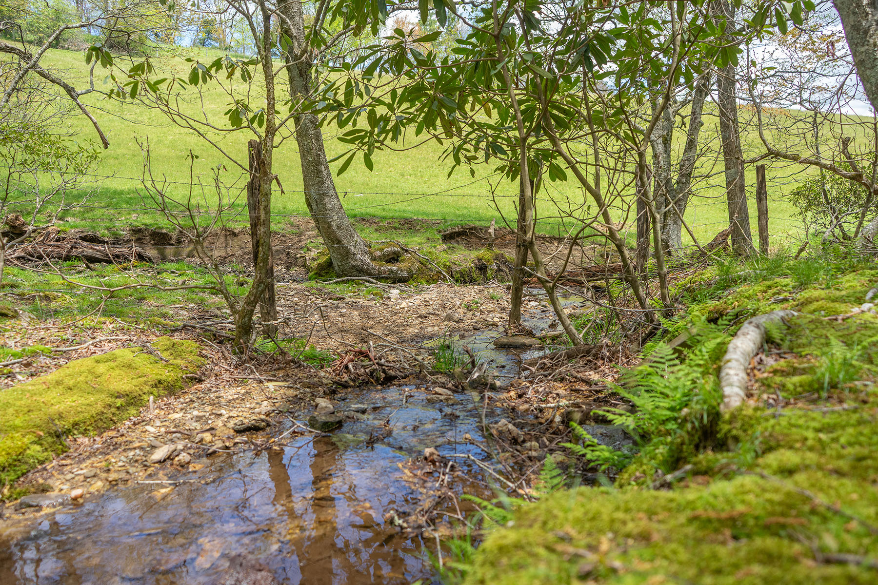  HUCKLEBERRY KNOB - BLOWING ROCK - 物件實景