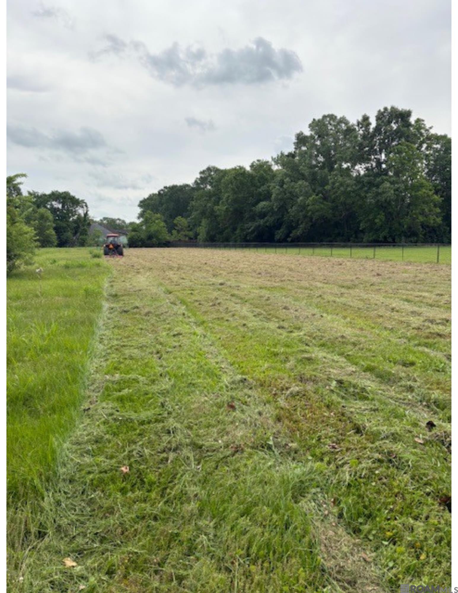 Prairieville, Louisiana, 70769, United States, ,Land,For Sale,1978899