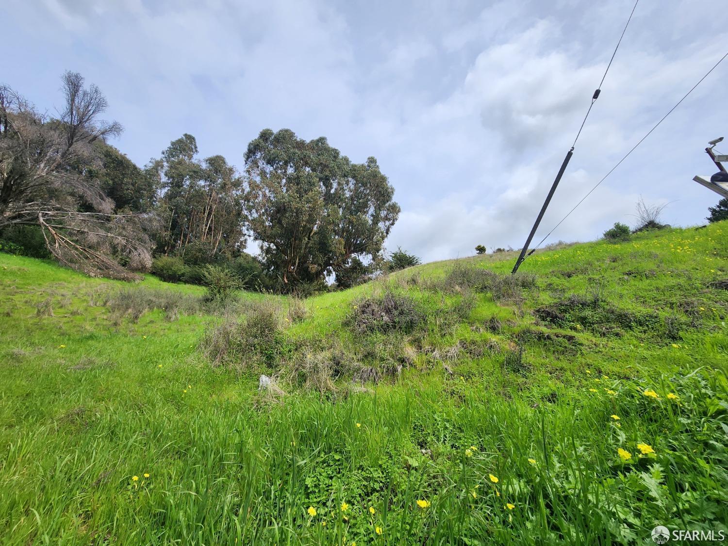 San Leandro, California, 94577, United States, ,Land,For Sale,2010798